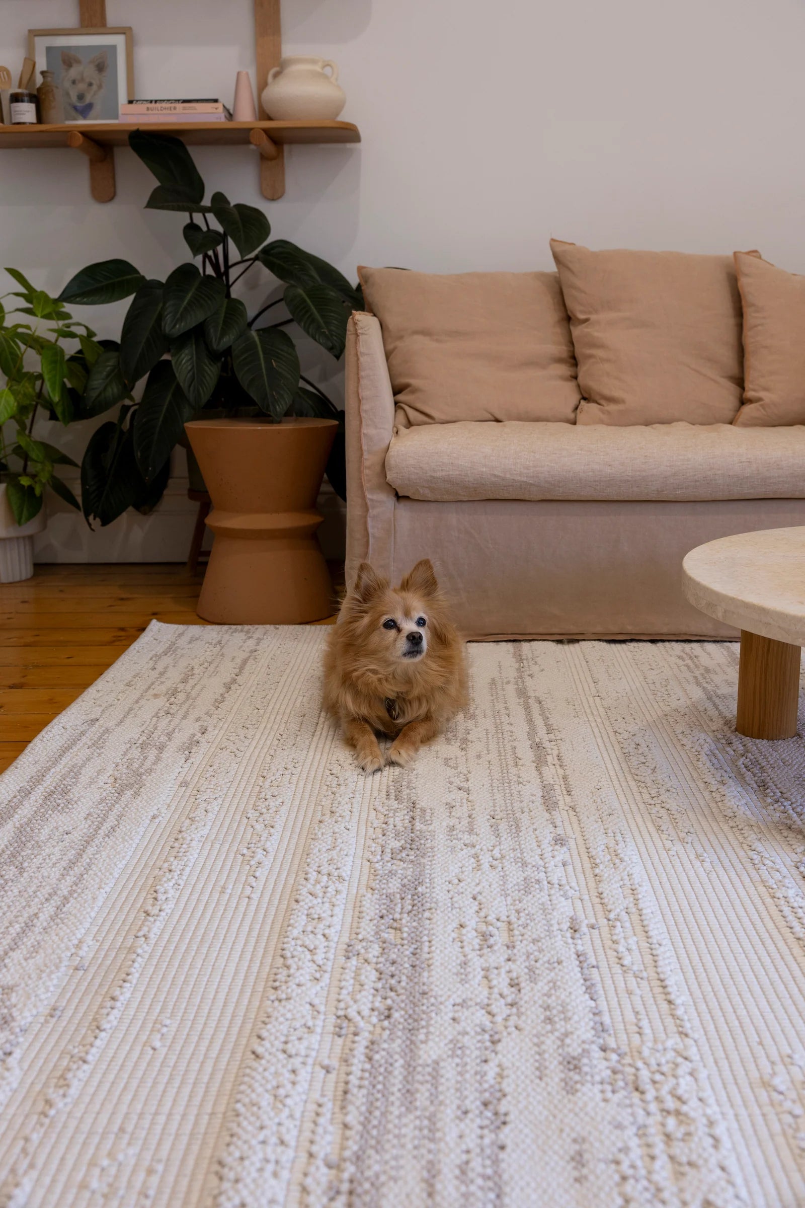 Foundation Series - Milk